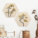 Sekskantet træ Bonsai i balance - Amini