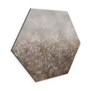 Zeshoek Wanddecoratie Pampasgras en grassen in beige - Ms Tiff - Alu-Dibond