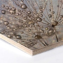 Hexagon Berkenfineer Delgado - Waterdrop Dandelion
