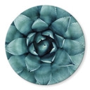 Plateau de table en verre - Agave 02 - Rond