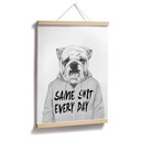 Plakat Solti - zirytowany buldog