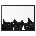 Poster Trio de chats noirs - Korenkova