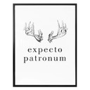 Plakat - Expecto Patronum