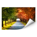 Muurprints Herfst
