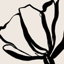 Fototapeta w kwiaty Line Art Poppy - Cats & Dotz