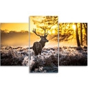 3 stykke lærredsprint, Deer Forest Sunset