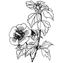 Muursticker Planten Silhouet