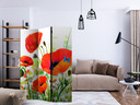 Paravent Séparation de pièce - Prairie de coquelicots, 3 pièces