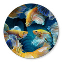 Tableau sur verre Egger - Poisson coloré