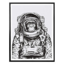 Plakat Space Monkey