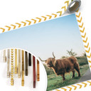 Plakat Highland Cow 01