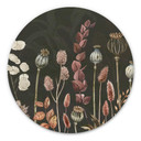 Tableau sur alu-Dibond rond Sir Edward - Olive Fleurs Séchées