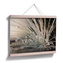 Plakat Zahirimehr - Historia kropli wody - Waterdrops