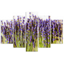 5 stykke lærredsprint, lavendel blomstrer natur