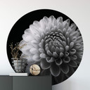 Fototapeta Grønkjær - Dahlia - okrągła - tapeta flizelinowa/tapeta flizelinowa samoprzylepna
