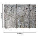 fototapet designwalls i grå og sort non-woven tapet Old Concrete Modern 