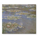 Dækplade til komfur Monet - Åkander 1905