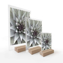 Borddisplay Agave 01