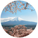Fototapeta Colombo - Góra Fuji w Japonii - Okrągła - tapeta flizelinowa/tapeta flizelinowa samoprzyl