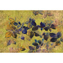 Livingwalls Fototapet Walls by Patel 2 indian summer 1