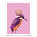 Plakat Loose - Queenfisher