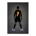 Obraz tkaniny Ronaldo - Mielu