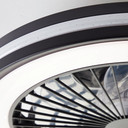 Deckenventilator mit LED-Licht Malea, schwarz, Deckenleuchte