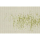 Fotomural Paredes de Patel 3 At The Pond 1 verde, beige