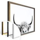 Plakat Sisi & Seb - Bull