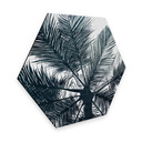 Hexagon Dibond Kubistika - California Dreaming