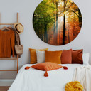 Tableau en alu Dibond - Automne doré - Rond