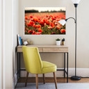 Wallprint Poppy Field