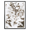 Plakat Annie - Jasmine