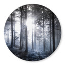 Tableau sur verre  Rayons de soleil dans la forêt bleue - Rond