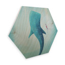 Hexagone - Placage bois de bouleau - Rivers - Le requin baleine