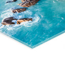 Acrylglasbild Tropische Felsenküste der Seychellen - Colombo