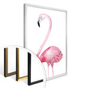 Plakat Kvilis - Pink Flamingo 01