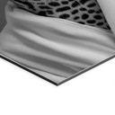 Royale spa time-out med leopard - Rahner – print på aluminium (Alu-Dibond)