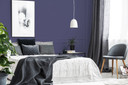 Pintura interior mate - PURO c2005 malva simple