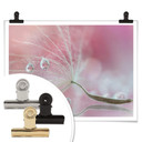 Plakat Barbieri - Two of us - Dandelion