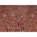 non-woven tapet Designwalls i brun og rød BrickRed 