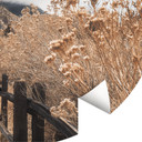 Fototapeta Pejzaż - Droga na szczyt - Iqbal - Okrągła - tapeta flizelinowa/tapeta flizelinowa samopr