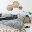 Hexagon Berkenfineer Ijsberen