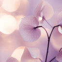 Delikatna orchidea w kolorze fioletowym | Fototapeta kwiatowa - Treechild
