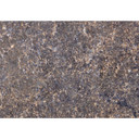 Okleiny meblowe, folia dekoracyjna - do wycierania - Marble 03