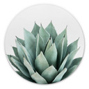 Wandcirkel Sisi & Seb - Succulents