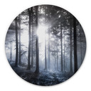 Tableau en alu-Dibond Rayons de soleil dans la forêt bleue - Rond