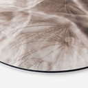 Tableau sur alu-Dibond Pissenlit Close Up - Rond