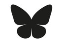 Sticker mural - Papillon 8