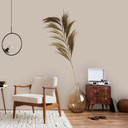 Pintura interior beige mate I Seedy Sunflower | Espacios abiertos y tranquilos | THE COLOR KITCHEN